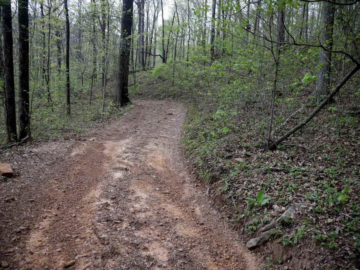 Gap Hollow Spur West photo 3