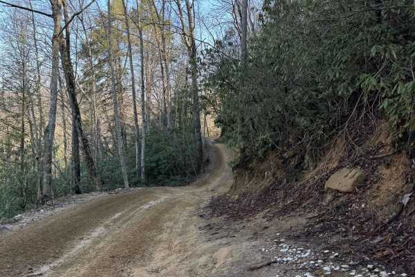 Trail 1