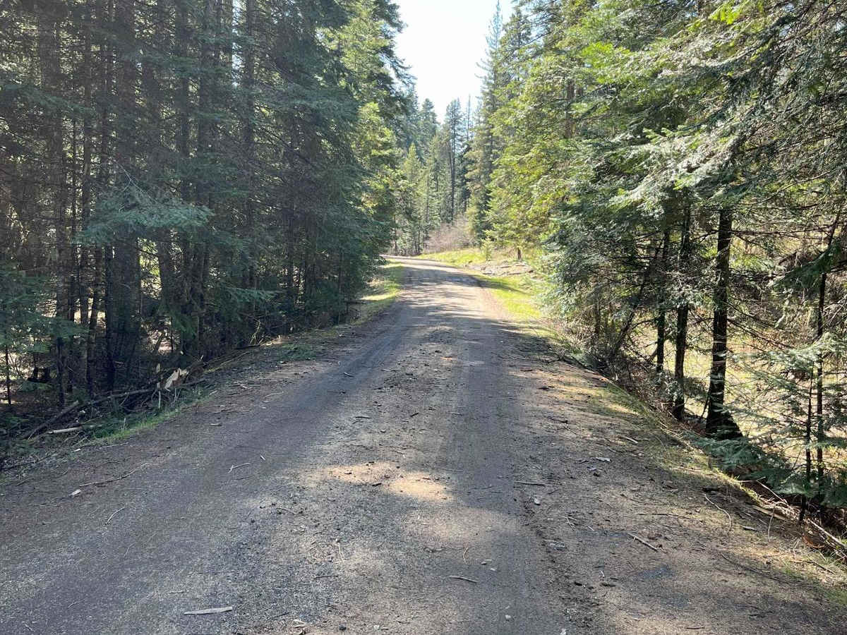 East Fork Big Bear Creek trail photo