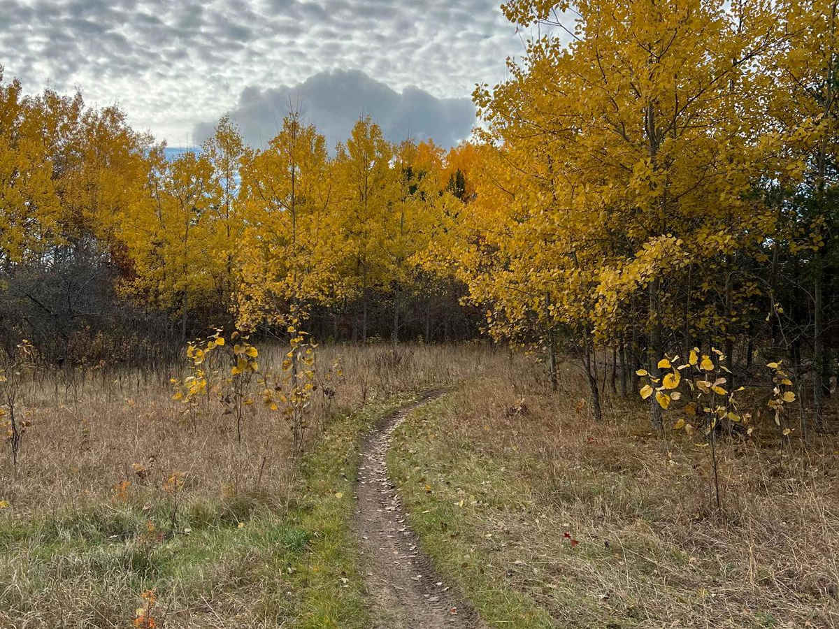 Scenic River Overlook Single Track trail photo