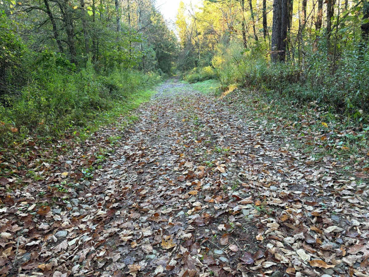 Cuyler Hill PFAR photo 4