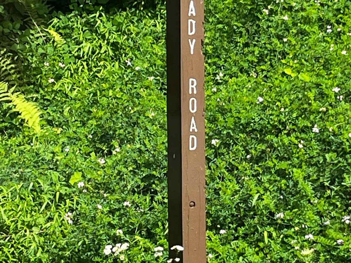 Brady Road trail photo