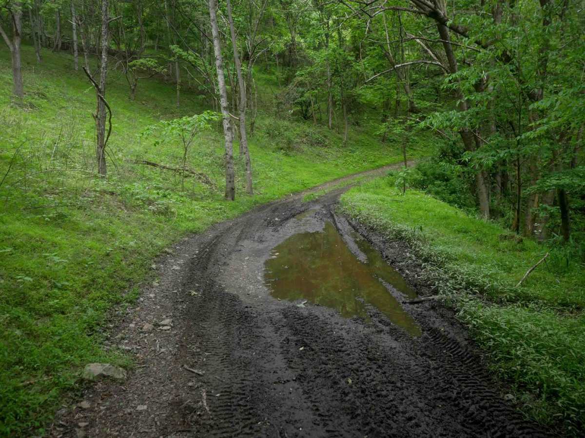 MV13 photo 5