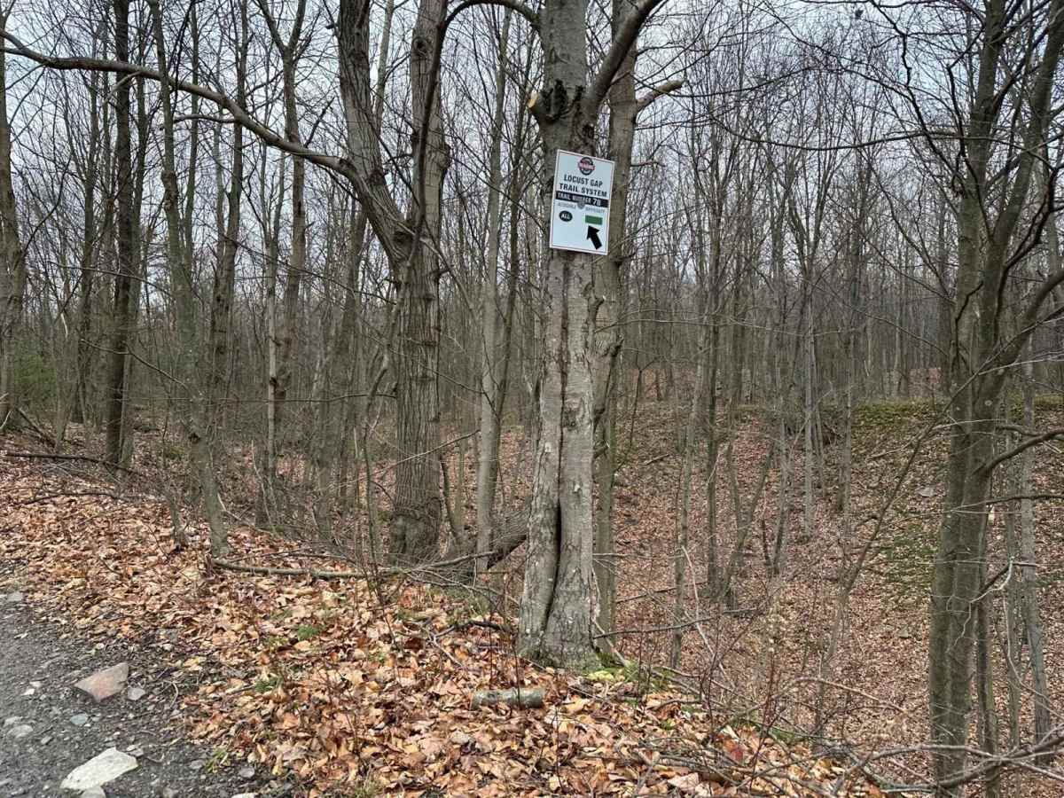 Locust Gap 78 photo 3