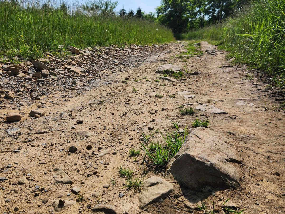 Rhino Path - Green - Rock Run Recreation Area photo 3
