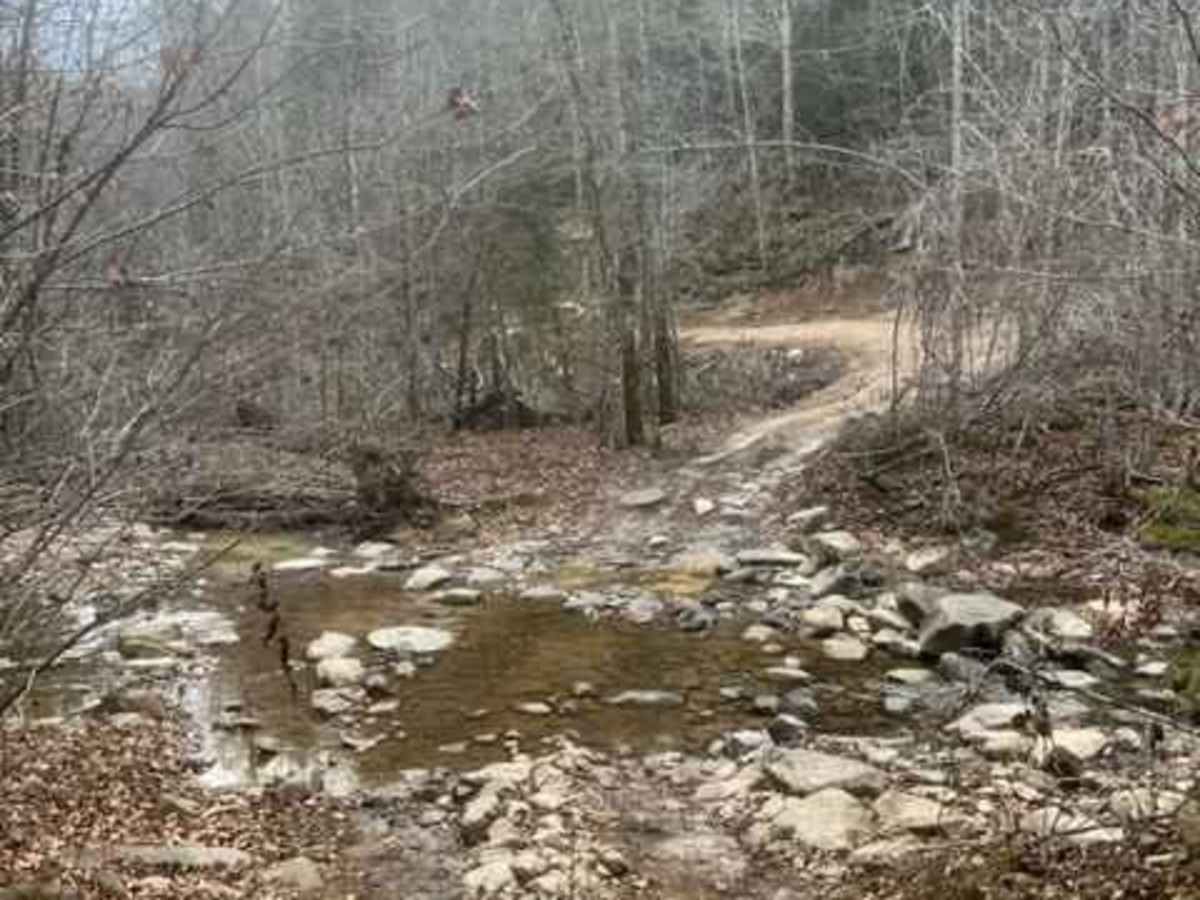 Coalmont OHV Trail 1 Blue photo 5
