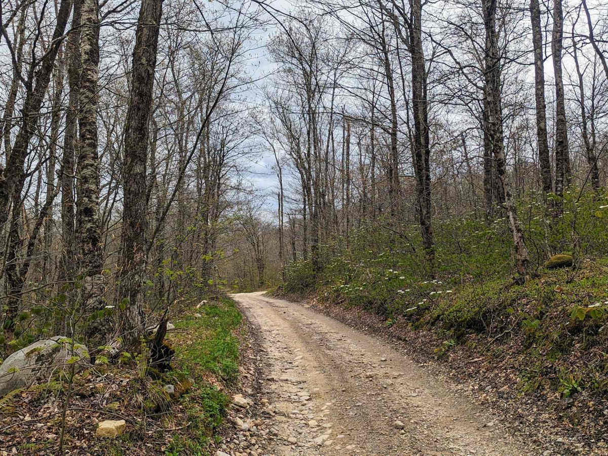County Road photo 5