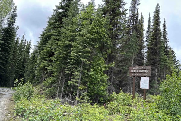 Whitewood Lake Rec Site to Windfall Lake Rec Site