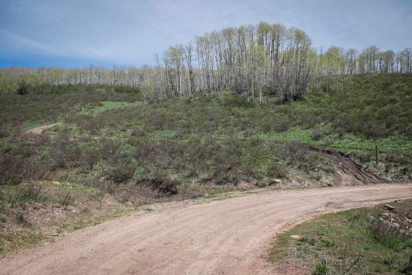 Gwt Strawberry Ridge ATV