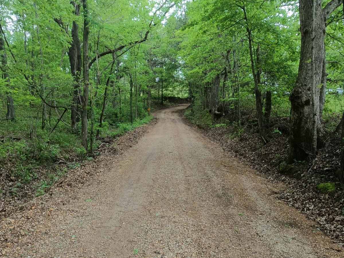 Mann Cemetery Road photo 4
