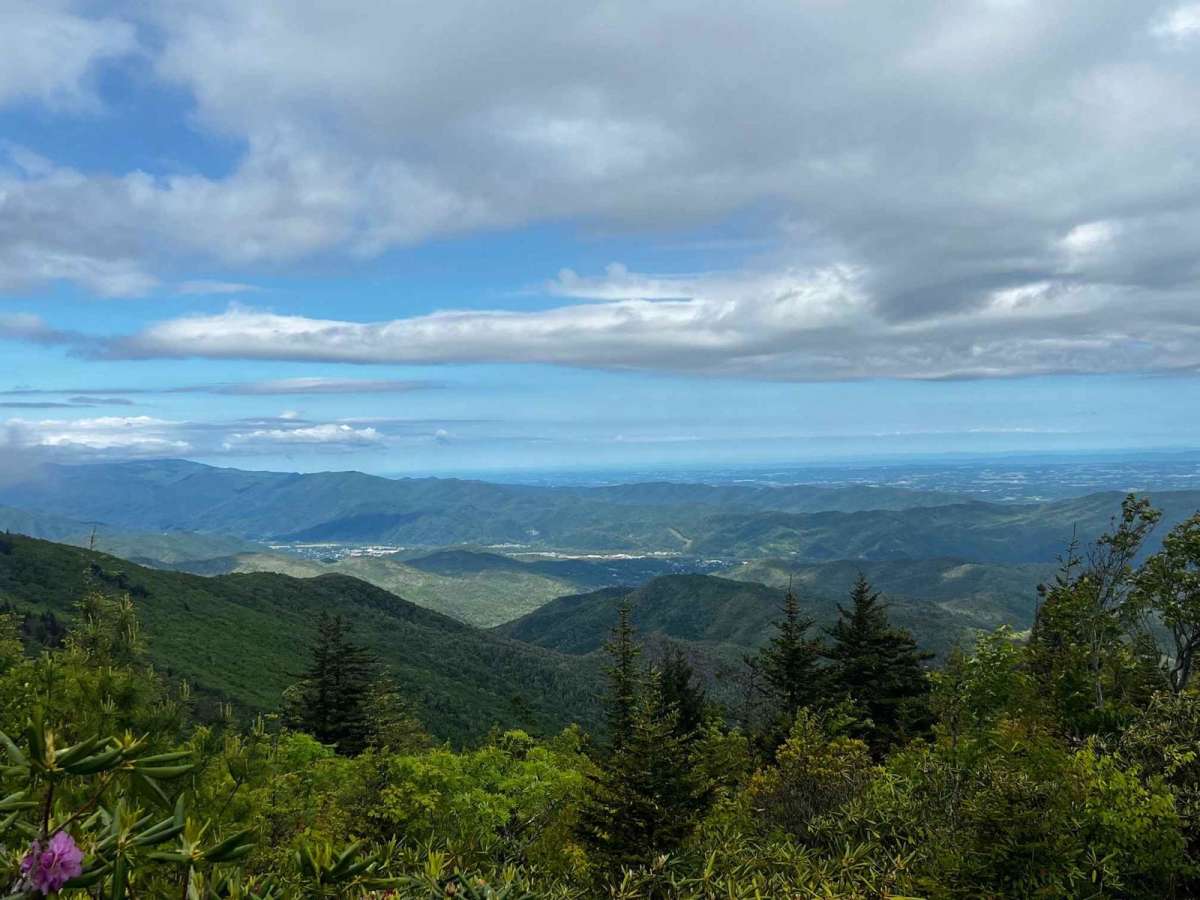 The Beauty Spot trail photo