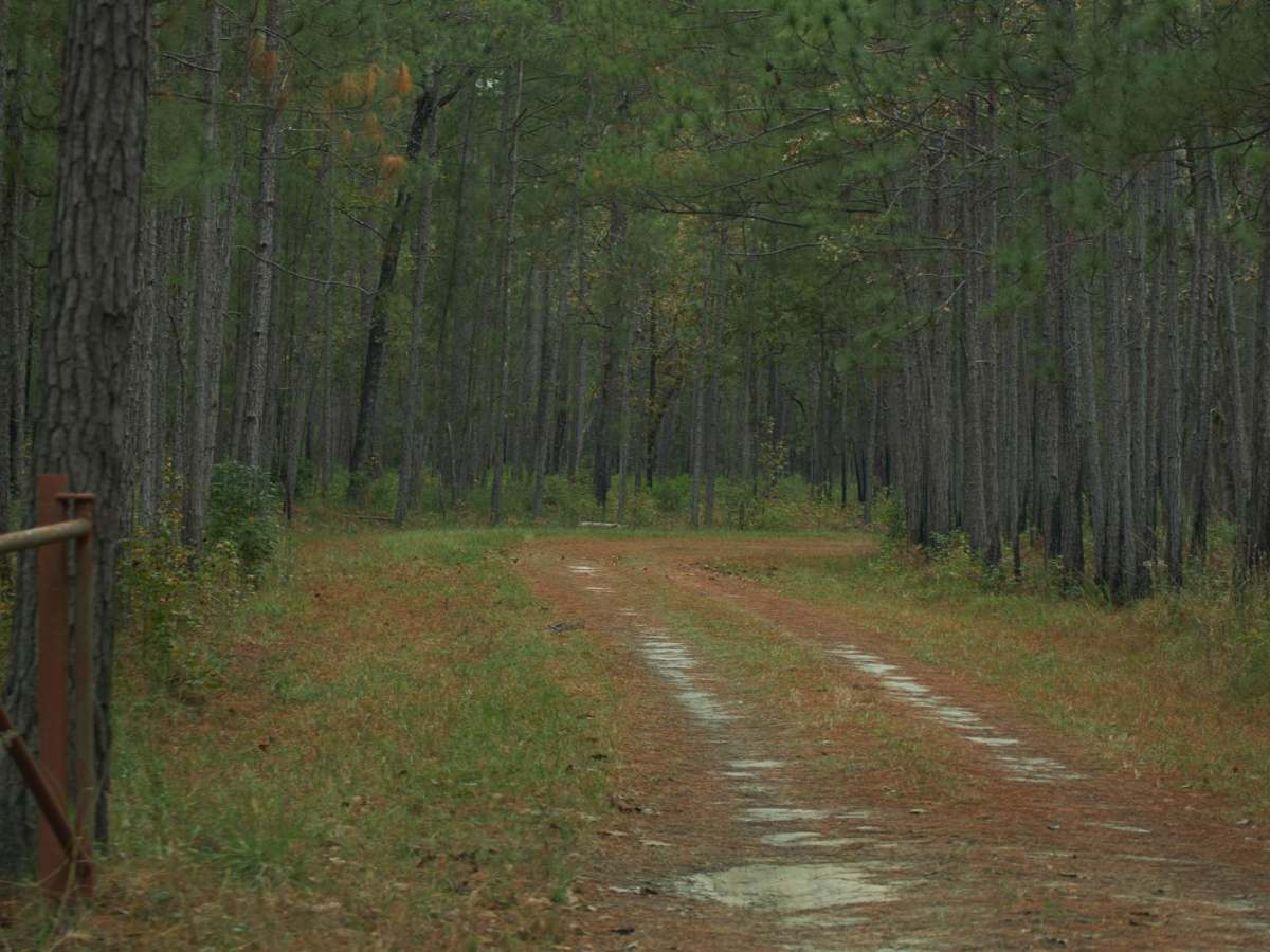 Donnelly WMA PT.4 photo 4