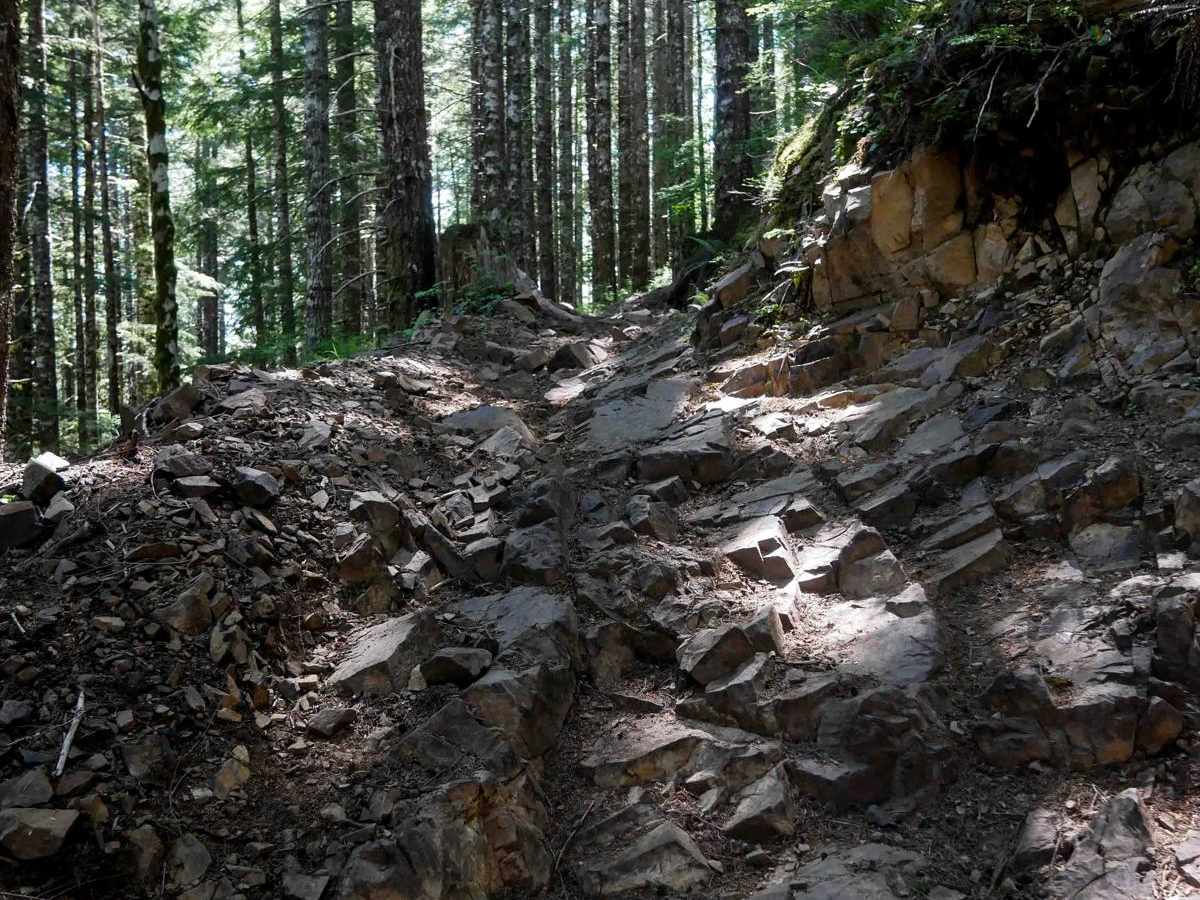 Tri Loop #111 trail photo