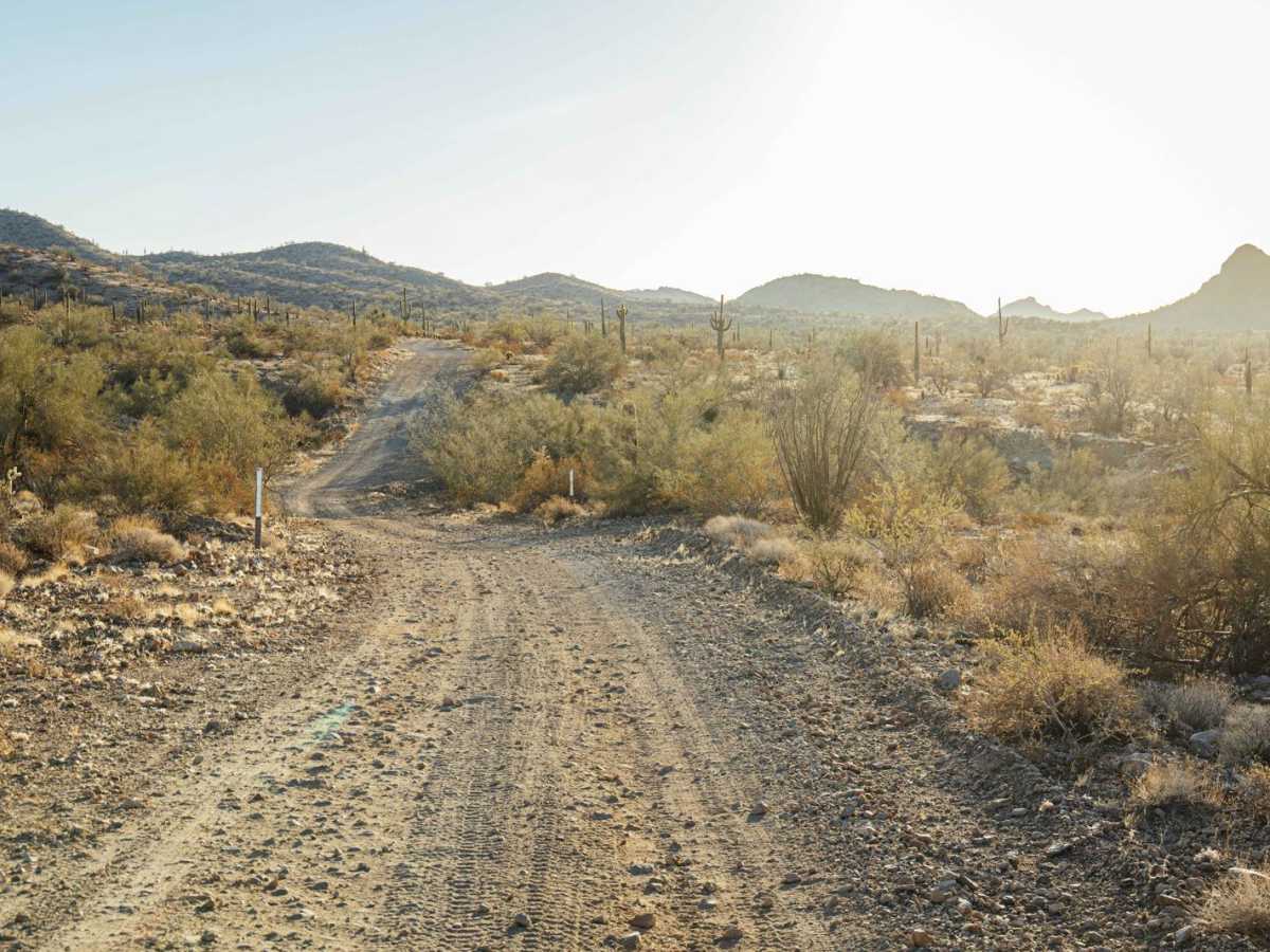 Little Horn Peak Road photo 6