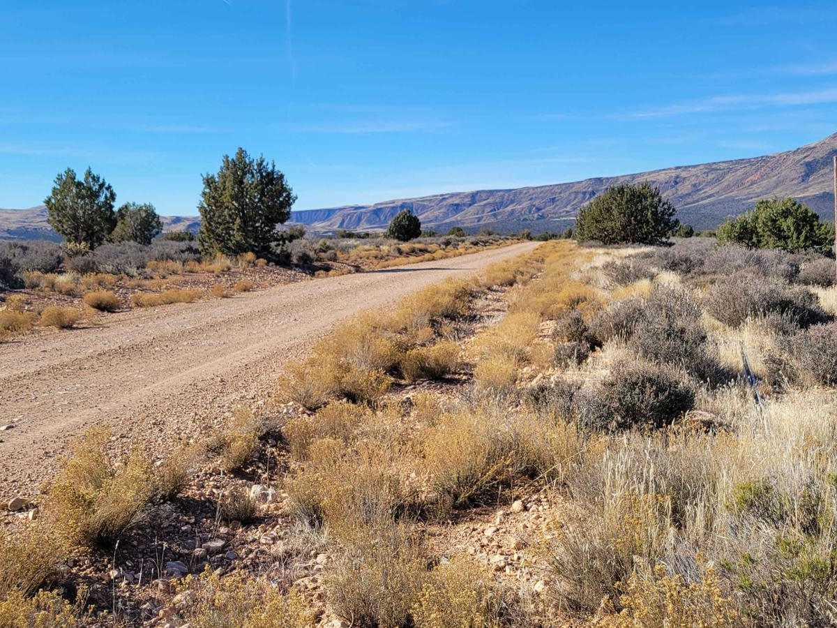 Black Canyon Road - BLM 1007 trail photo