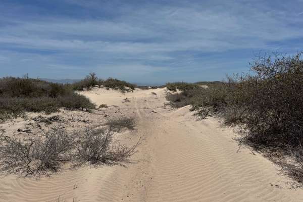 Guatamota Dunes