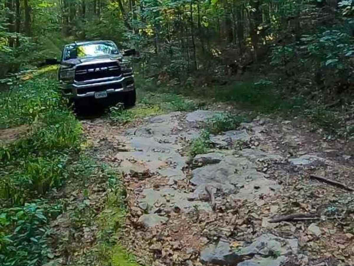 Green Branch Road - FS 409 trail photo