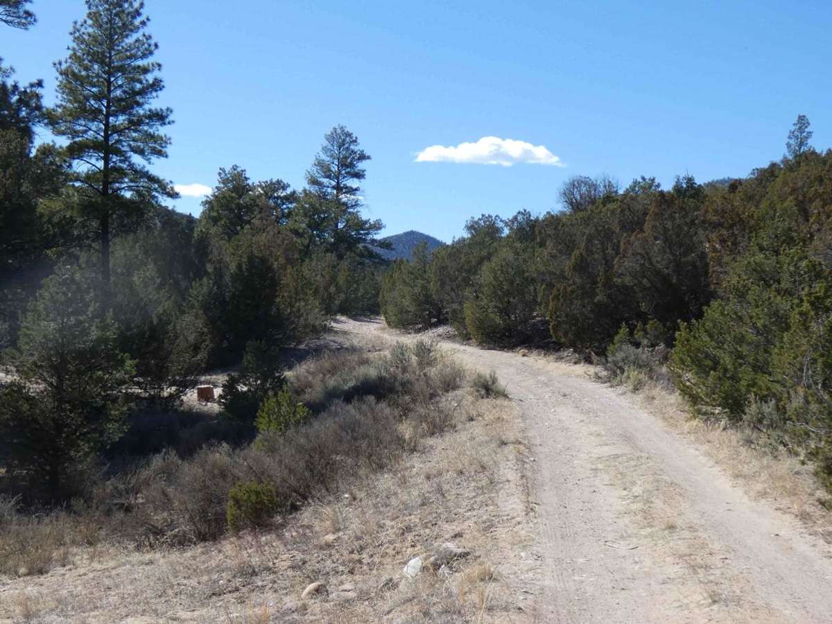 Devils Ridge photo 6