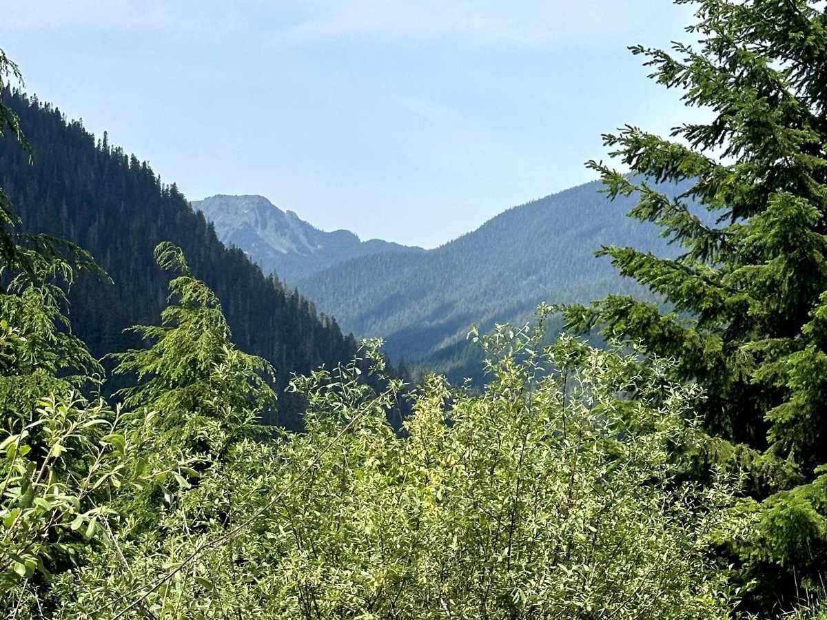 Canyon Creek Road photo 4
