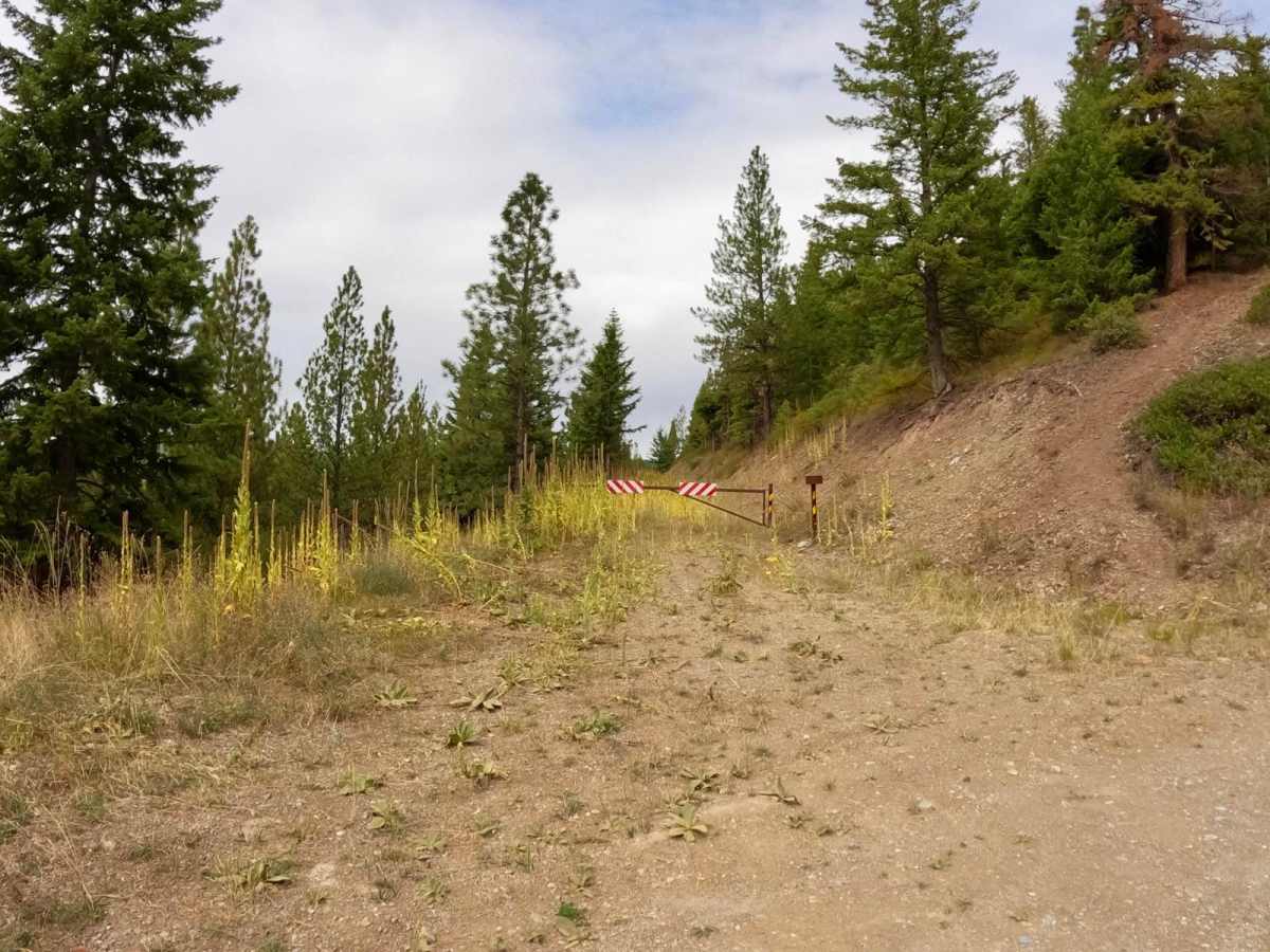 South Fork Second Creek Road-Nine Mile Divide Trailhead photo 4
