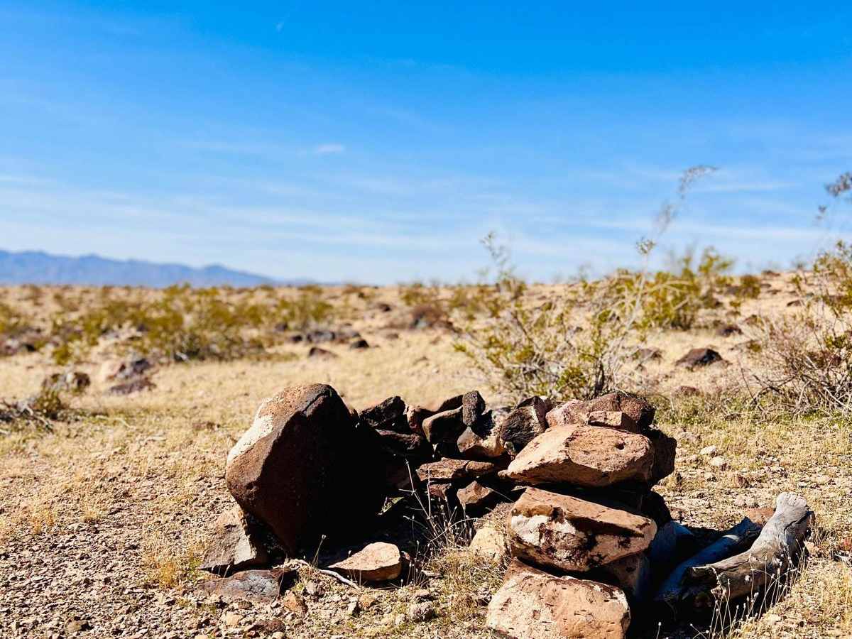 Wheeler Wagon Ridge Dispersed Camps photo 2