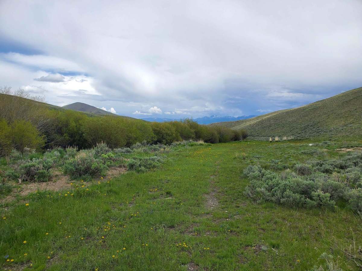 Horse Heaven Pass - NF 117/118 photo 5
