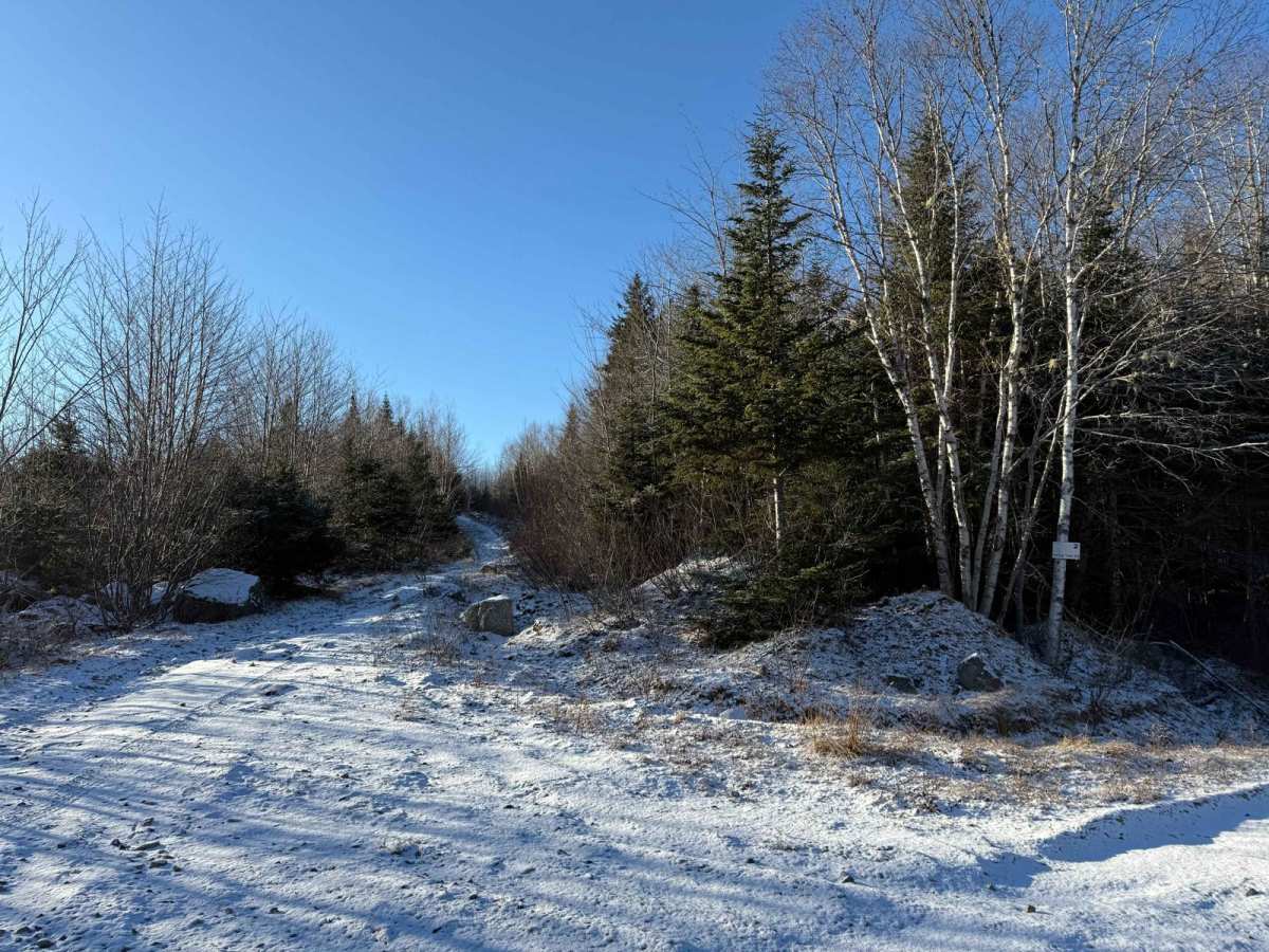Dynamite Trail photo 6