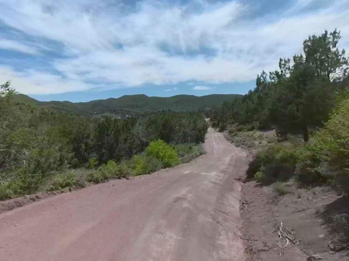 Upper Veyo Shoal Creek-FR30006 trail photo