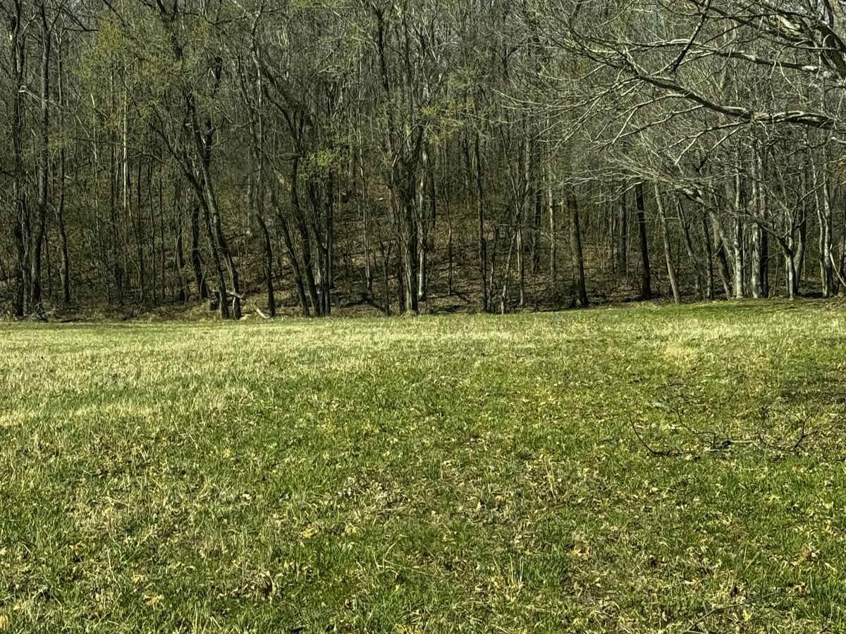 Camp Loop 6 photo 3