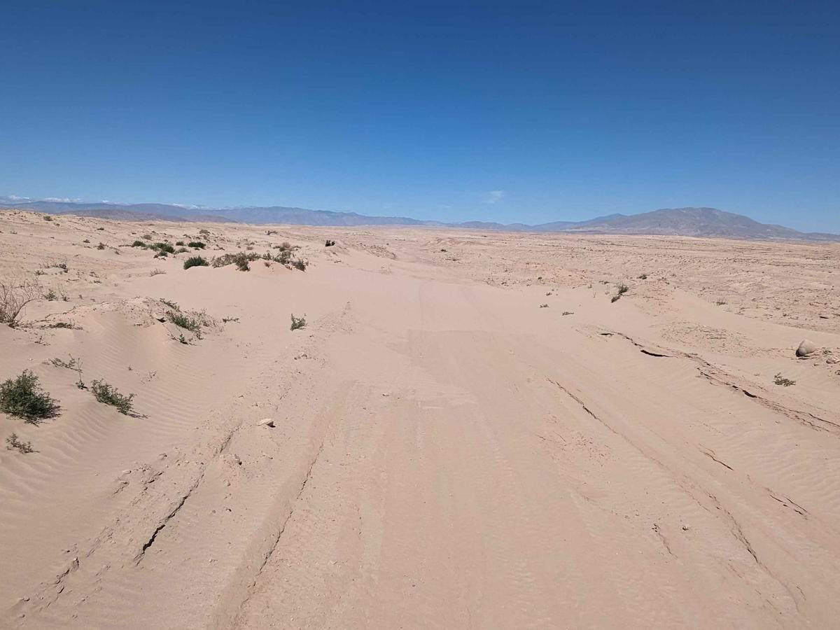 Ocotillo Wells photo 4