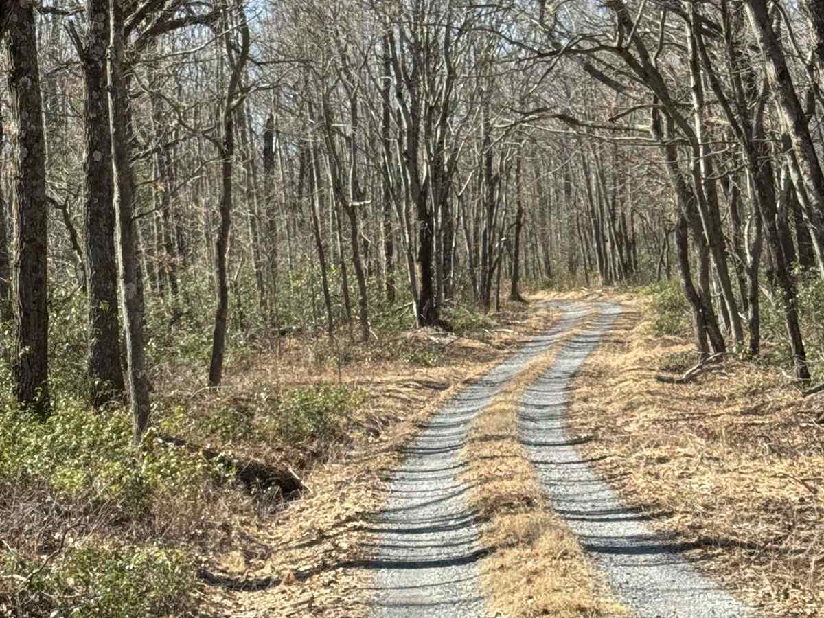 First Fork Road photo 4