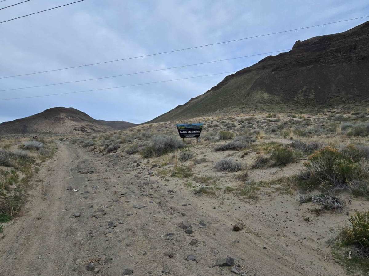 Sandy Saddle photo 3