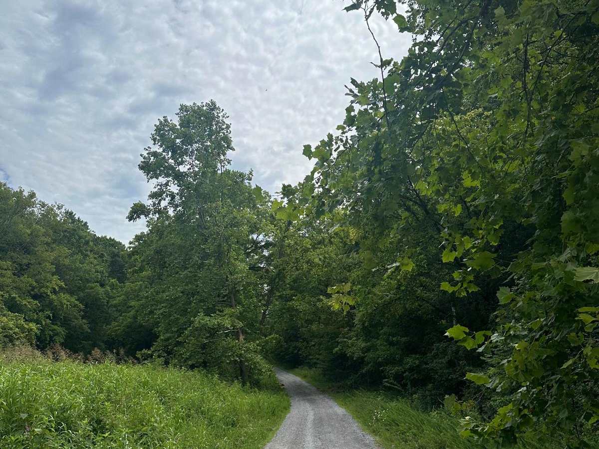 FS - 204 trail photo