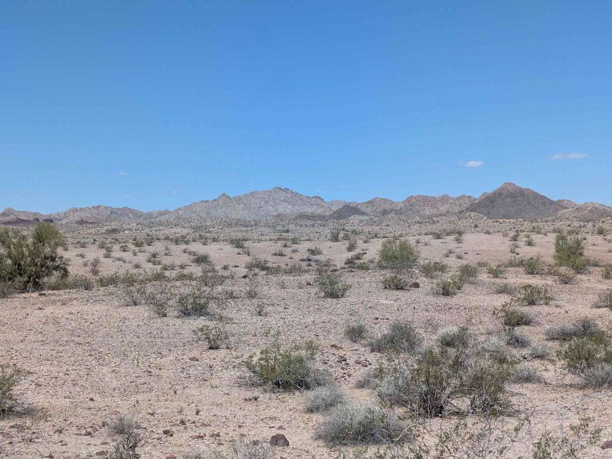 BLM 4341 photo 5