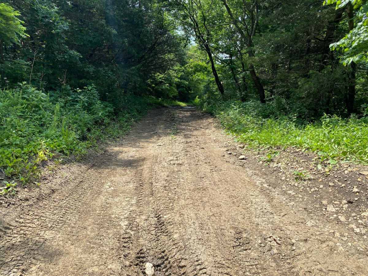 Wagon Trail photo 5