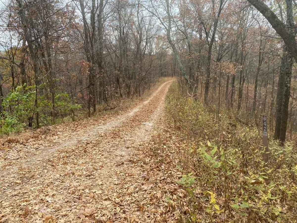 Bull Durham SFR 642 trail photo