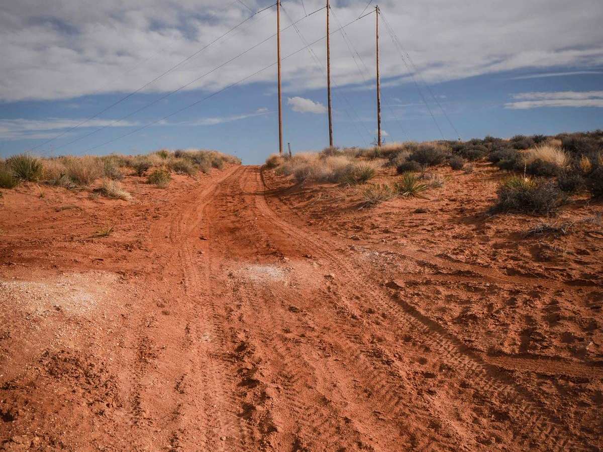 Powerline Road trail photo