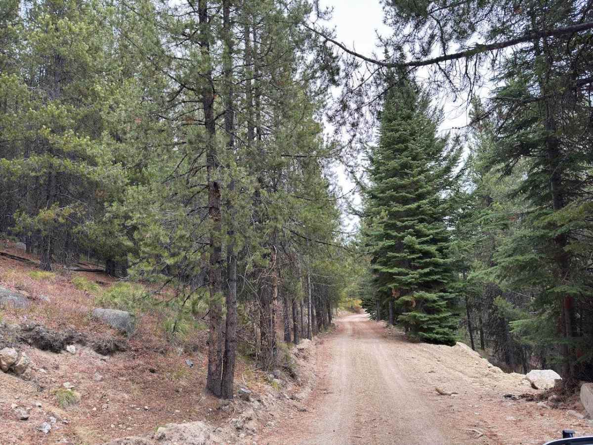 Deer Meadows trail photo