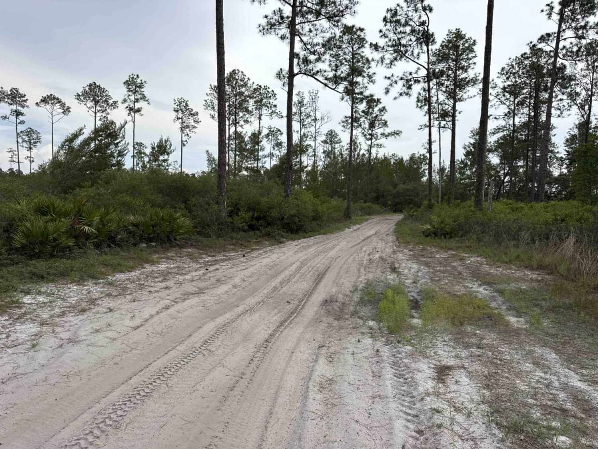 Glenn Brench - ONF 42-21.0 photo 4