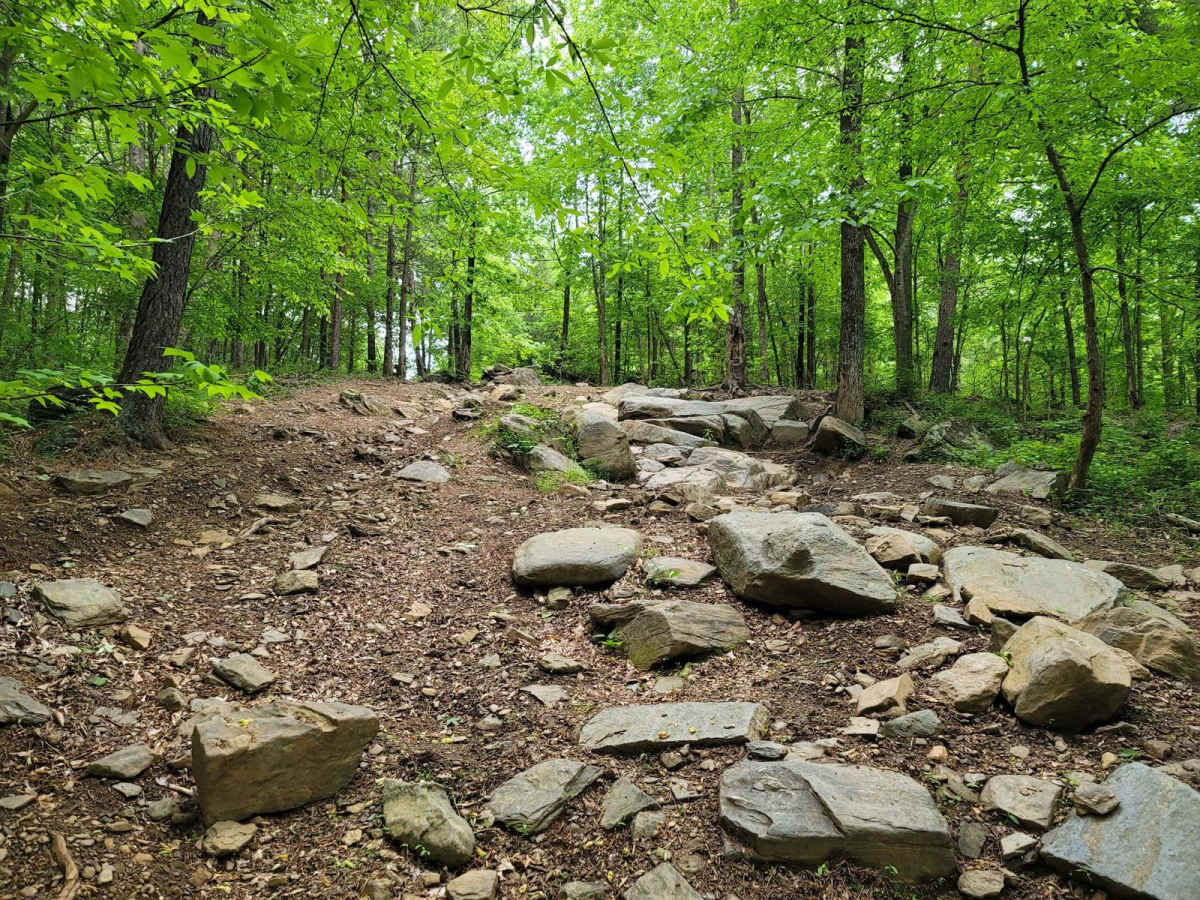 Turner Over photo 4