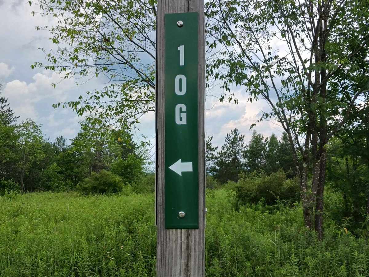 Trail 10G - Rock Run Recreation Area trail photo