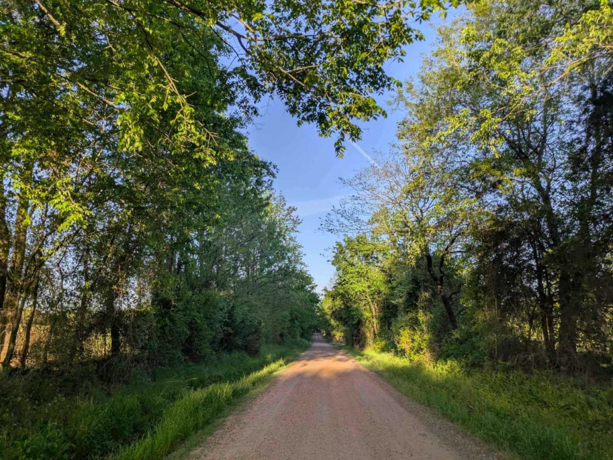 Jones Creek Road photo 3