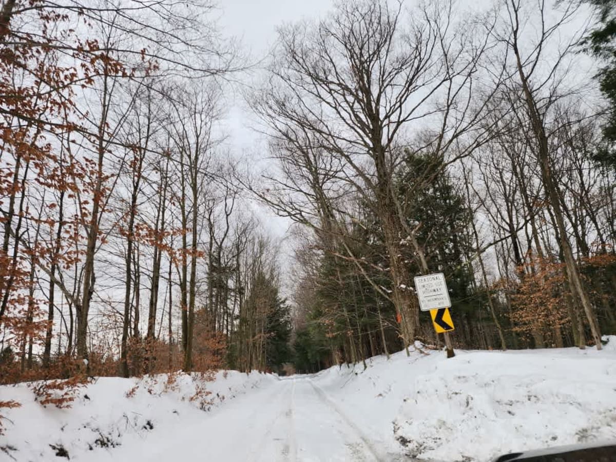 Albert J Woodward Memorial Forest Traverse trail photo