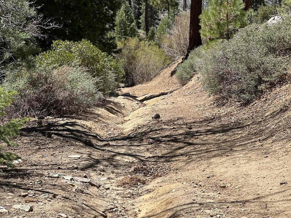 Little Bear Spring - 2N84 photo 6