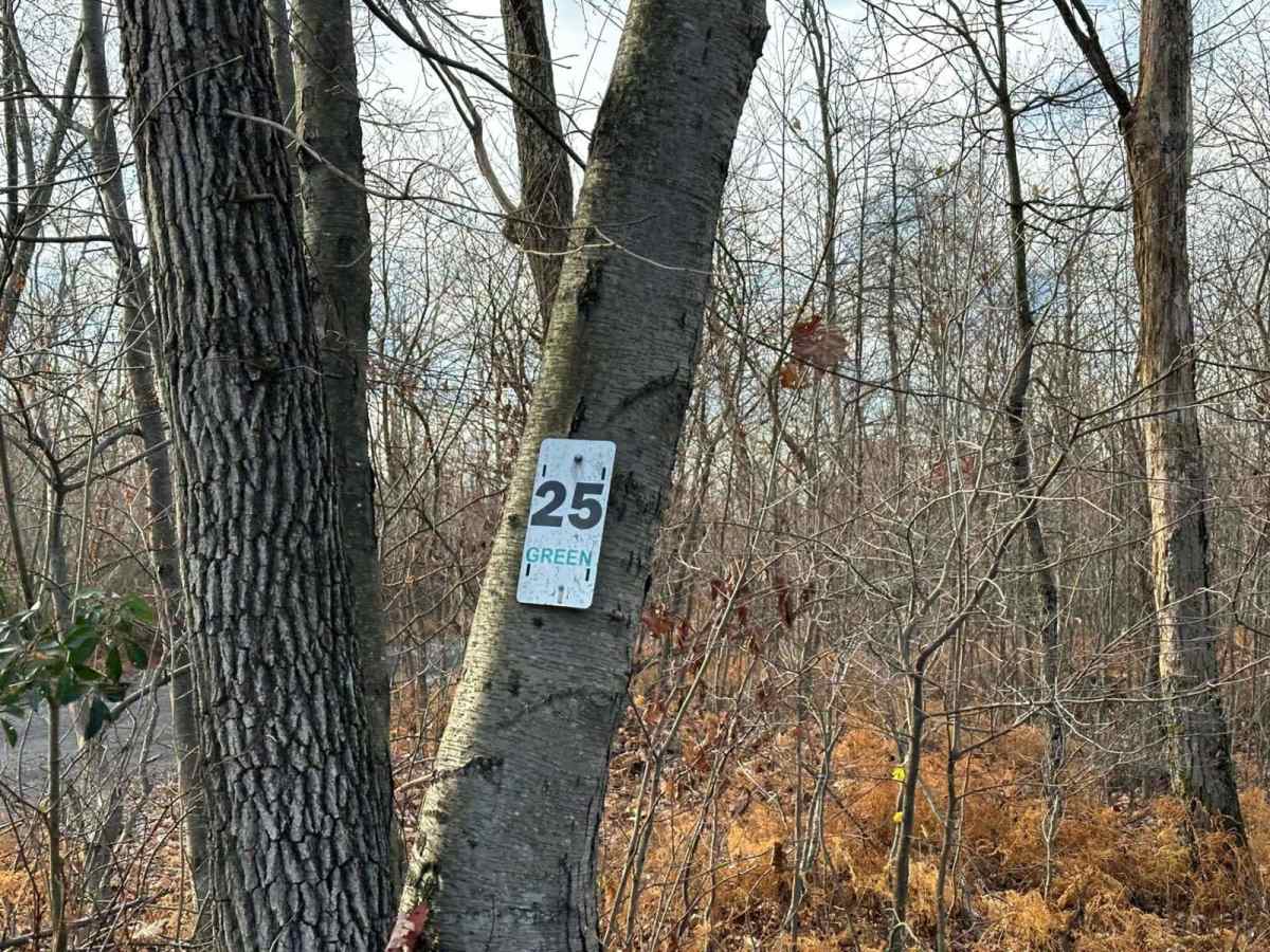 25 trail photo