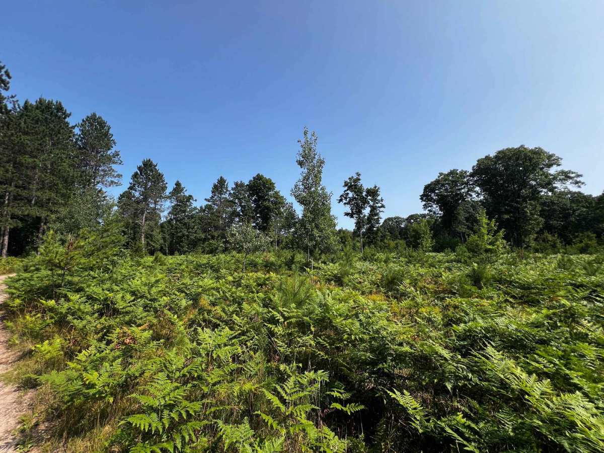 Soper Creek Trail photo 4
