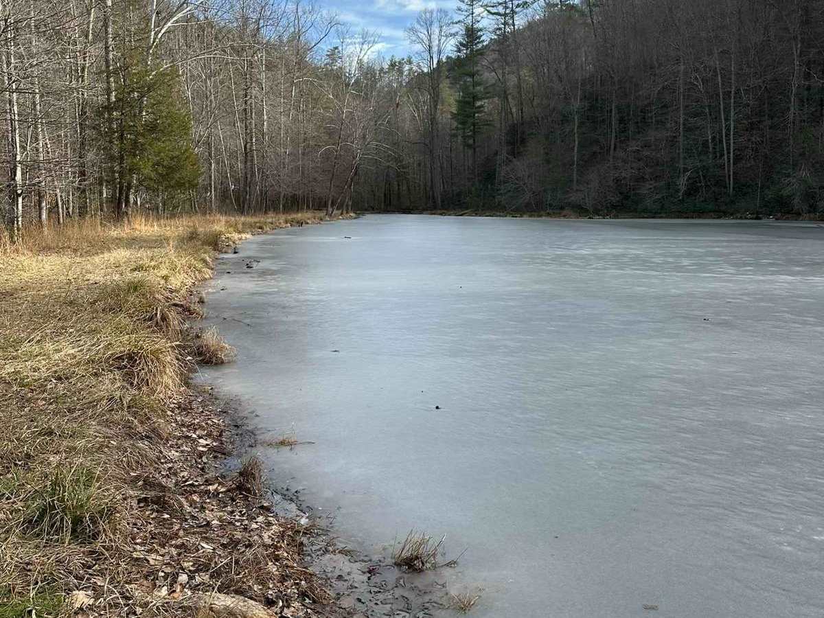 Paint Pond Trail photo 4
