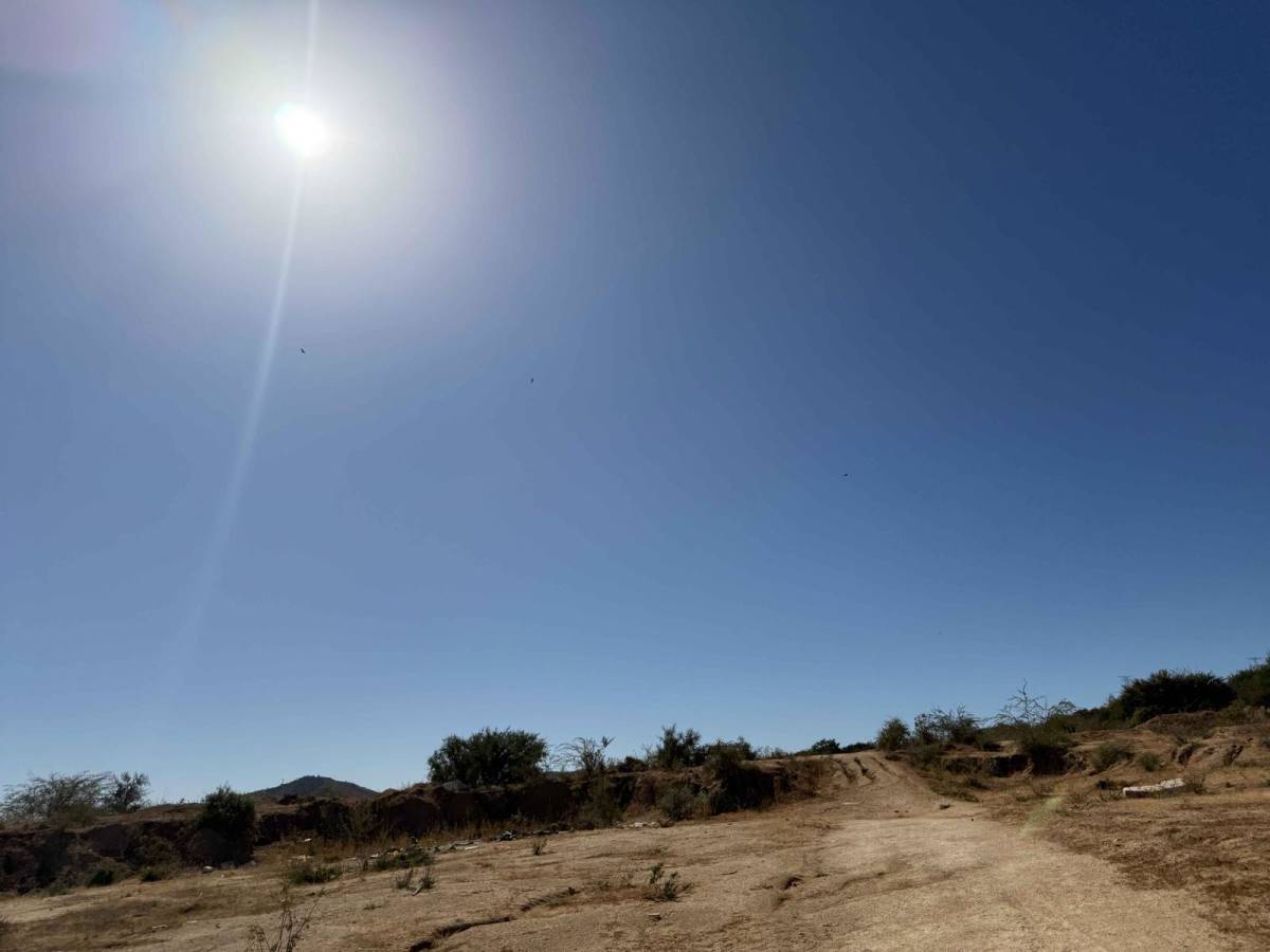 El Alamito de Camino trail photo