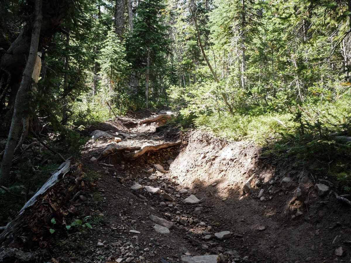Minnie Wapiti photo 5