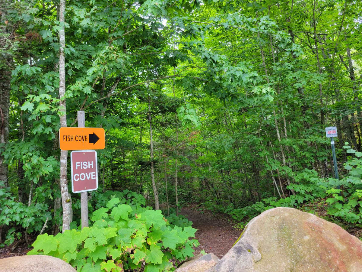 Fish Cove Cut photo 5